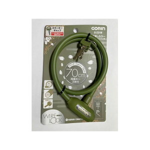 GORIN RpNgC[ G231W 10×700mm FiJ[Lj G231W Si]ԁj ANZT[ ]