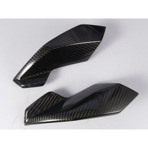 SPEEDRA �w�b�h���C�g�T�C�h�J�o�[ �d�l ���D�艐���� CBM1102TG SPEEDRA �h���X�A�b�v�E�J�o�[ M1000R S1000R