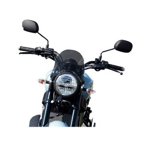 WW XSR125p[^[oCU[ V[gEX[N ws-50-ss [J[݌ɂ [hEH[N JEEGA oCN XSR-125