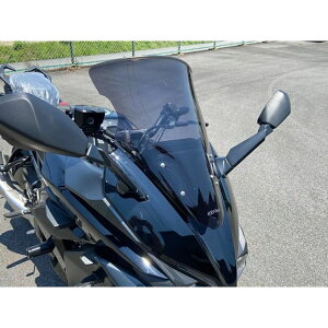 ACRY-Point XN[iX[Nj 130352 AN|Cg XN[֘Ap[c oCN GSX-S1000GT