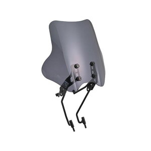 DAYTONA EChV[hSS ԎʃLbg CL500/250 42236 [J[݌ɂ fCgi XN[֘Ap[c oCN