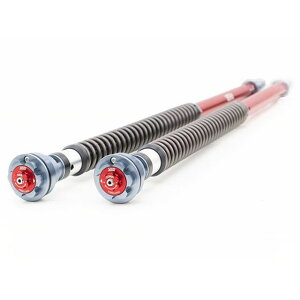 YSS RACING J[gbWLbg 127-C02220405 YSS ̑TXyVp[c oCN MT-07