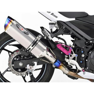 BEET NASSERT Evolution TypeII 政府認証適合 スリップオンマフラー(ブルーチタン) 0228-KH6-BL ビートジャパン マフラー本体 バイク Ninja400 Z400