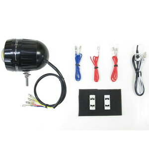 PROTEC 66010 FLT-H03 LEDtHOCg 12V 28W 6000K 66010 vebN wbhCgEou oCN PCX125 PCX160