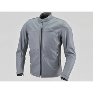 DAYTONA DJ019jo[TU[JKiO[j TCY L 47990 fCgi WPbg oCN