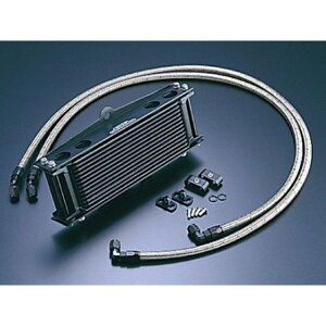 ACTIVE ICN[[LbgiTCh􂵁jXg[g 6 9-10R ubNdliT[ΉLbgj AC14077810BC ANeBu ICN[[ oCN