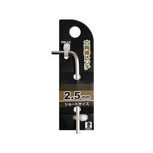 BIGMAN Zp_` 2.5mm HW-2.5 HW-2.5 BIGMAN nhc[ oCN   ]