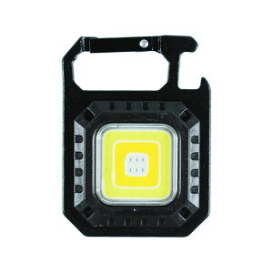 BIGMAN LED~jCg [d lp BPLM-02 BPLM-02 BIGMAN AEghApCg Lv