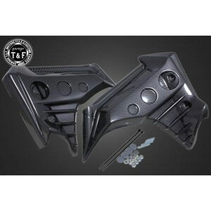 T&F u250 RobgI[o[JEKITiJ[{j E2883CNL K[WT&F JEEGA oCN u250