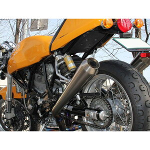 AELLA `^tGL}t[/ԌΉ AE-42014 OT AG }t[{ oCN PAUL SMART SPORT1000