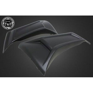 T&F u250 TChtH[Jo[i}bhubNj E9036MBK K[WT&F ̑O֘Ap[c oCN u250