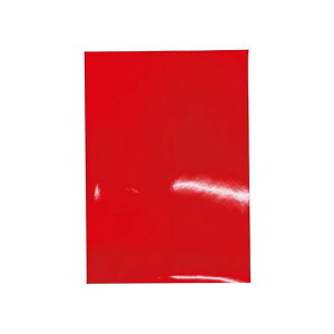 SIGNET 99881 Sܕt SGuV[g IW 210×297mm 99881 [J[݌ɂ VOlbg ƏH