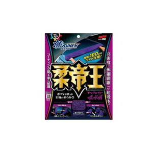 SOFT99 ALAUNEN JCU[ zpNX E02903 \tg99 ԁEeiX  