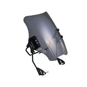 DAYTONA EChV[hSS G~l[^[iX[Nj 49666 [J[݌ɂ fCgi XN[֘Ap[c oCN ELIMINATOR