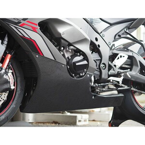 Magical Racing A_[JE ގ FRPE 001-ZX1021-1701 }WJ[VO JEEGA oCN ZX10R