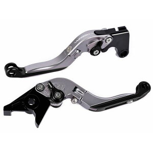 SPEEDRA アジャストレバー 可倒延長式(レバー本体:マットチタン) アジャスター マットレッド エクステンション マットグリーン LVGM084TM-RDGN メーカー在庫あり SPEEDRA レバー バイク CBR1000RR-R