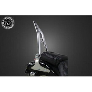 T&F XeB[h400iVLXAVCLj ɑ38V[V[o[O tF_[pibLj E703194 K[WT&F V[V[o[ oCN