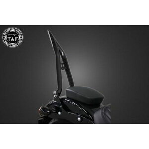 T&F \teC Xg[g{u ɑ38V[V[o[O tF_[piubNj E703235 K[WT&F V[V[o[ oCN FXBBS/FXBB