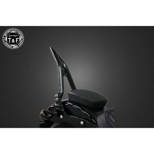 T&F \teC Xg[g{u ɑ38V[V[o[~fBA tF_[piubNj E703233 K[WT&F V[V[o[ oCN FXBBS/FXBB