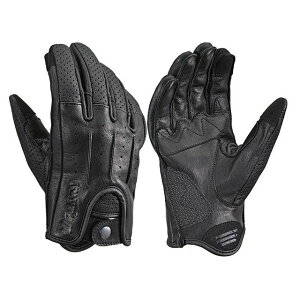 DAYTONA DG-021 h[~[U[O[u XLiubNj 61773 [J[݌ɂ fCgi U[O[u oCN