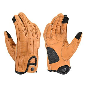 DAYTONA DG-021 h[~[U[O[u XLiuEj 61779 fCgi U[O[u oCN