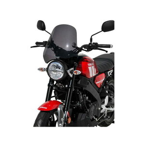 ERMAX XSR125 2022-2024 EChV[h ~j[T[ J[ uO[2 E060508008-XSR125 A}bNX XN[֘Ap[c oCN XSR125
