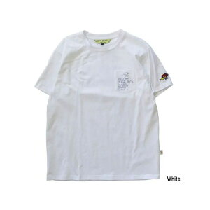 Clay Smith CSY-4006 TVciCG[j TCY M CSY-4006 [J[݌ɂ NCX~X JWAEFA