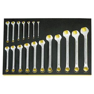 STAHLWILLE TCS 13/18�A6-24 MM TCS�i�c�[���R���g���[���V�X�e���j�p 18�{�g �R���r�l�[�V���������`�Z�b�g �ETCS 13/18�C6-24 MM �X�^�r���[ �n���h�c�[��