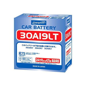 �y���[�J�[�����zEnergywith �W���i SH-30A19LT 30A19LT �G�i�W�[�E�B�Y �o�b�e���[