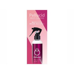 Pellucid hbvR[eBO PCD813 [J[݌ɂ yV[h ԁEeiX  