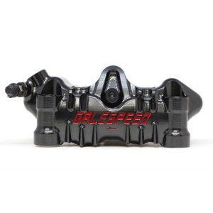 GALESPEED Elaborate tg4P WALp[ 34/30 `^{g/`^sXgdlij GSFCAL3430-10TTP QCXs[h Lp[ oCN ėp