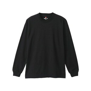 champion H5186-2 L/S T-SHIRT 2P�i�u���b�N�j �T�C�Y XS H5186-2 ���[�J�[�݌ɂ��� �`�����s�I�� �A�E�g�h�A�p�E�F�A