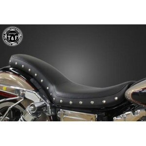 T&F _CiiDYNAjOp X^bhtRuV[g/X[X E507012 K[WT&F V[g֘Ap[c oCN