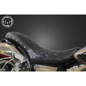 T&F _CiiDYNAjOp X^bhtRuV[g/_C E507016 K[WT&F V[g֘Ap[c oCN