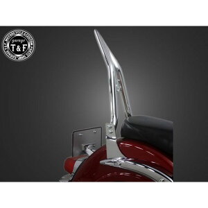 T&F Cg[_[400NVbN ɑ38V[V[o[O tF_[pibLj E705305 K[WT&F V[V[o[ Cg[_[400NVbN