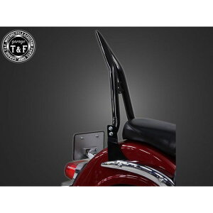 T&F Cg[_[400NVbN ɑ38V[V[o[O tF_[piubNj E705304 K[WT&F V[V[o[ Cg[_[400NVbN