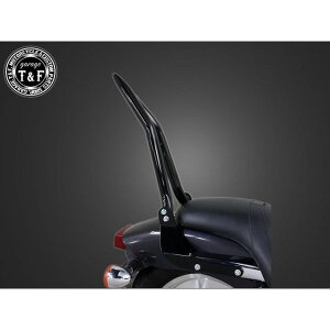 T&F }Oi250 ɑ38V[V[o[O tF_[piubNj E707035 K[WT&F V[V[o[ }Oi250S }Oi250