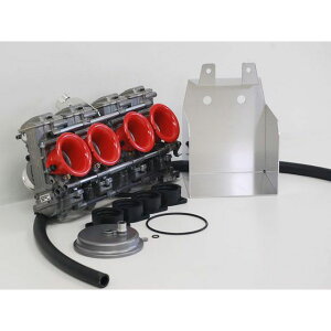 Bagus FCR35ӃLu^[Lbg K\RbNXdliVo[j BG-FCR03BSL-FL oO[X Lu^[֘Ap[c oCN ZEPHYR750