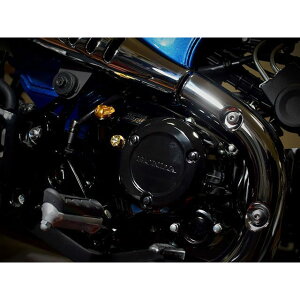 EVATEK `^R[gNb`AWXeBOibg CT125iS[hj EVT-5152-TI G@ebN Nb` oCN