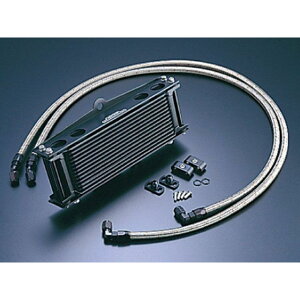 ACTIVE ICN[[LbgiTCh􂵁jXg[g 6 9-10R ubNdl T[ΉLbg AC14067610BC ANeBu ICN[[ oCN ZEPHYR400 ZEPHYR400X