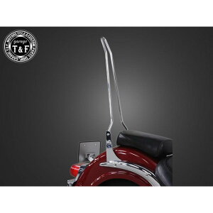 T&F �C���g���[�_�[400�N���V�b�N �����t�F���_�[��p�V�[�V�[�o�[�����O�i���b�L�j �E4024639 �K���[�WT&F �V�[�V�[�o�[ �C���g���[�_�[400�N���V�b�N