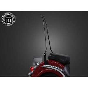 T&F Cg[_[400NVbN tF_[pV[V[o[OiubNj E4024638 K[WT&F V[V[o[ Cg[_[400NVbN