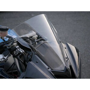 Saitaniya Factory uR6vJvpXN[iNA[j 3YYZR6SC-C08 ˒Jt@Ng[ XN[֘Ap[c FZR250R