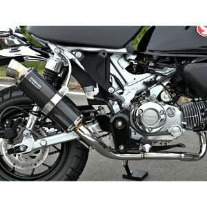 BEAMS R-EVOJ[{ tGL][Xg {F G1025-53-006 r[X }t[{ oCN L[125