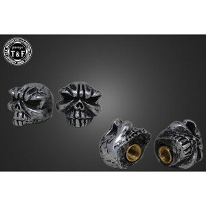 T&F ouLbv OE}XNi|bVj E709302 K[WT&F GAou֘Ap[c ėp