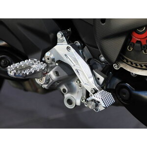 AELLA u[Ly_EnCWX^[^Cvi|bVj AE-46027-PO AG y_ MultistradaV4/RS