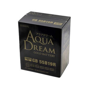 �y���[�J�[�����zAQUA DREAM GOLD �l�փo�b�e���[ AD-GB55B19R 55B19R �A�N�A�h���[�� �o�b�e���[