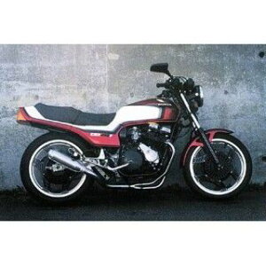 MRS CBX400F iJ tEX BK ZPM-H40-020B M-TEC }t[{ oCN CBX400F