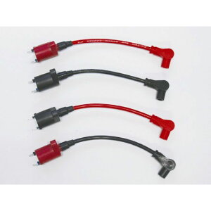 C.F.POSH Xs[hvcCVRvOR[hivOLbvLjt [VOIGRC R[hJ[ bh RCJ[ ubN E221011-04 NGCeBuEt@Ng[ |bV