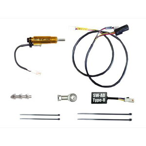 TERAMOTO �V�t�^�[�X�C�b�`Type-R 4365-SW-TR �e�����g ���̑��d���p�[�c YZF-R1/R1M